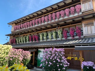 【茨城県笠間市】日本最古の菊の祭典「第118回 笠間の菊まつり」開催!