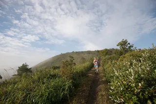 蒜山三座の雄大な自然を走るトレイルランレース「FORESTRAIL 2025」10/26（日）開催！