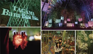 【新潟・田上町】竹林アートイベント「たがみバンブーブー2025」開幕！広大な竹林でアート・音楽が融合、1ヶ月間の文化体験イベントがスタート