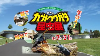 夏休みイベント！観て、触れて、学ぼう！『世界のカブト・クワガタ昆虫展』開催