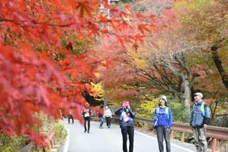 紅葉彩る”湯の山温泉”で地域の食と自然を体感「たべる」「めぐる」ONSEN・ガストロノミーウォーキング開催（参加申込受付中）