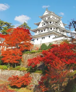 紅葉彩る天守炎上と郡上八幡の文化を一度に満喫！　郡上八幡城＆郡上八幡博覧館で特別限定「郡上八幡通行手形」ならぬ「通行手下駄」発売！