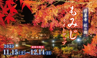 【伊豆の紅葉】修善寺虹の郷、約1000本のもみじが光り輝く『もみじライトアップ』＆『打ち上げ花火』を開催！11月15日(土)から12月14日(日)まで