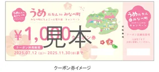 うめルカムtoみなべ町　みなべ町へちょこっと寄り道キャンペーン開催決定