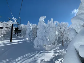 冬の絶景を巡る特別な旅！新路線開設で楽しさ倍増♪『蔵王シャトルバス』2年目の運行決定、事前予約で安心・快適