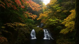 三重・赤目四十八滝で紅葉が見頃へ！夜は「三重赤目 滝あかり」ライトアップで幻想の渓谷体験