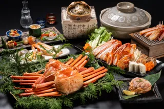 よみうりサポナ東京支店開設記念特別企画