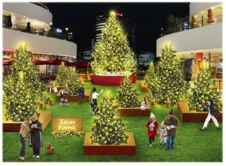 高さ8ｍのモミの木を中心に複数のツリーが登場「横浜ベイクォーター クリスマスイルミネーション」11月1日（土）～12月25日（木）毎日開催！
