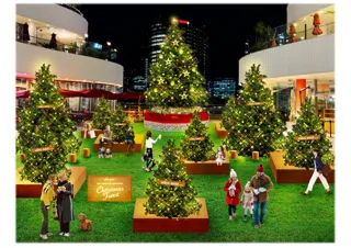 「niko and ...」とのコラボイルミネーション 「niko and ...×横浜ベイクォーターChristmas Forest」2025 年11 月1 日（土）より開催