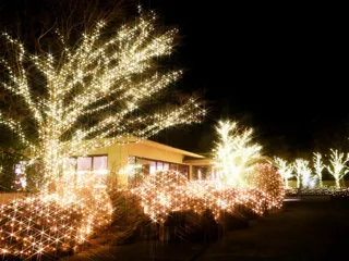 【ウィンターイルミネーション＆クリスマス企画】ハイクラスなおもてなしで特別な時間を＜静かな仙石原で＞