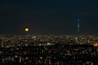 紅葉の装飾で彩られた空間で天体望遠鏡から見える中秋の名月を観賞スマホで月を撮影するテクニックをレクチャー！＜サンシャイン60展望台 天体観賞会「てんたいパーク2025」～中秋の名月～＞