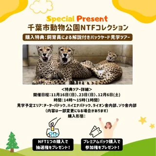 【地域資源の3D・NFT事業】千葉市動物公園NFTコレクションで、動物の3D・NFTデータの販売を開始します