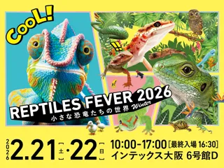 お得な前売券販売開始！爬虫類・エキゾチックアニマルイベント『レプタイルズフィーバー2026 Winter』開催決定！