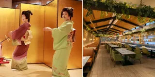 【ニッコースタイル名古屋】ディナーイベント『芸妓 ja NIGHT』を10月12日（日）に開催