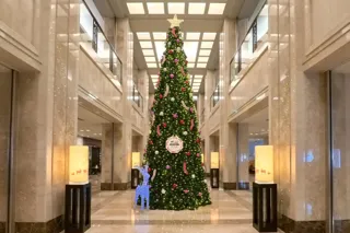 【ホテル日航奈良】日本一の靴下生産地「奈良」の靴下が彩る⁣20周年記念クリスマスツリー