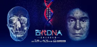 特別展「古代ＤＮＡ―日本人のきた道―」　名古屋市科学館で開催！