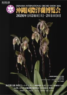 【海洋博公園】世界のランが集う祭典「沖縄国際洋蘭博覧会」令和8年1月24日～2月1日開催！