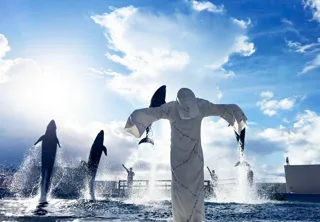 【沖縄美ら海水族館】秋空にきらめく『Autumn Show』を開催～飼育50年のオキちゃんも登場～