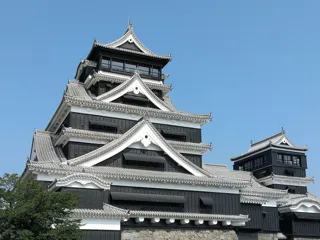 第2回グローバルネイチャーポジティブサミットの日本・熊本開催について