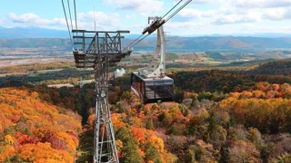 【富良野スキー場】ワンちゃんと一緒に「絶景空中散歩」富良野ロープウェー紅葉営業「絶景×遊び」をテーマにした標高900ｍの新スポット「ふらのの森“ASOBOU”」を同時開催
