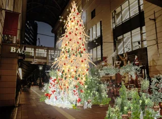 【大丸福岡天神店2025クリスマスツリー】 Legacy　～未来に続くいのちの光～