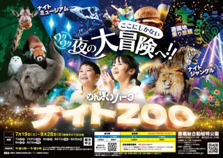 【のんほいパークナイトZOO】2025年の夏は夜の動物園で大冒険しよう！