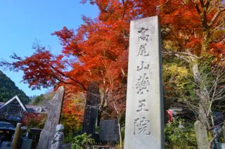 登山で一番困るのはトイレ問題？―南極観測隊の経験がある山口直子講師と学ぶ、紅葉の高尾山ワークショップツアー