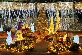 「練馬区立 四季の香ローズガーデン」ガーデンイルミネーション開催／温かな光で冬のローズガーデンを包み込む