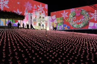 イルミネーションアワードで10年連続ランキング全国第1位の『あしかがフラワーパーク』で最高のクリスマスを！