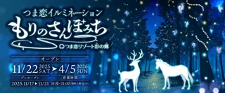 【つま恋リゾート彩の郷】 ～幻想的な童話の世界へ～ つま恋イルミネーション ～もりのさんぽみち～ ★11月22日より開催