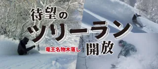 最大斜度36度、最長1,400mの非圧雪!長野県 竜王スキーパークにツリーランエリアが誕生!