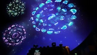 curiosity、九十九島水族館海きららのクラゲシンフォニードームに新演出、『デジタルクラゲ花火』『デジタルクラゲ水槽』の2つの幻想体験を開発！