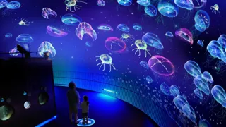 curiosity、九十九島(くじゅうくしま)水族館海きららのクラゲシンフォニードームに新インスタレーション「ステップハーモニー」を開発！