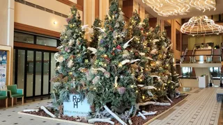 【ロイヤルパインズホテル浦和】2025年クリスマスツリーのテーマは「SDGs」持続可能な未来への祈り。サステナブルに灯る、クリスマスの森をお楽しみください。