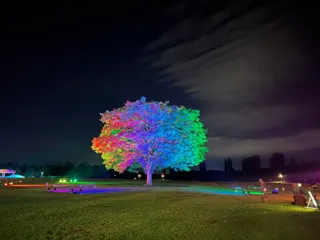 サマーナイト★ピクニック開催（国営越後丘陵公園）