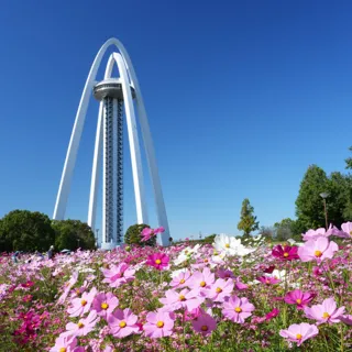 138タワーパーク オータムフェスタ開催(国営木曽三川公園 138タワーパーク)