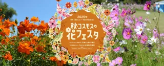 「秋・コスモスの花フェスタ」開催！【国営アルプスあづみの公園　堀金・穂高地区】