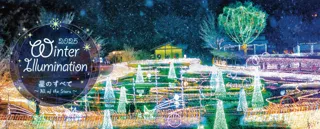 「Winter Illumination 2025」まもなく開催!【国営アルプスあづみの公園 堀金・穂高地区】