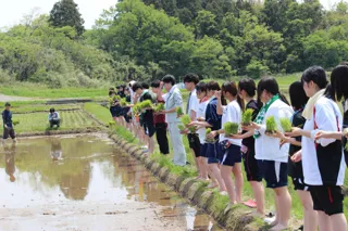 【国際調理製菓専門学校】新潟県西蒲原郡弥彦村にて食育実習「田植え」を実施