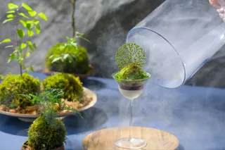 【奥入瀬渓流ホテル】本物の苔そっくり！涼やかな夏の霧に包まれた苔を表現した「おいらせ苔パフェ」新登場