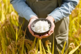 【リゾナーレ那須】リゾナーレ那須の田んぼで育てる自家製米、収穫から美食へ