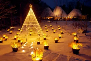 【リゾナーレ那須】稲穂をテーマにした黄金色のイルミネーションが輝く「稲穂クリスマス」今年も開催