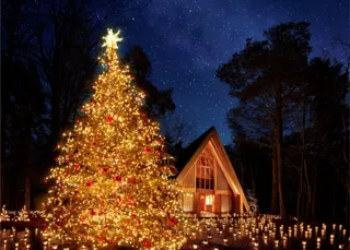 【軽井沢高原教会】満天の星の下、大切な人への願いを紡ぐ特別な夜「星降る森のクリスマス」を開催