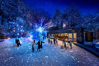 【軽井沢星野エリア】森と光が織りなす"没入型"スケート体験「スターダスト・アイスリンク」を開催!