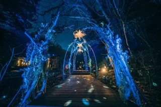 【ケラ池スケートリンク】冬季限定イベント「スターダスト・アイスリンク」本日スタート！幻想的な新スポット「星屑のトンネル」や光るスケート靴、限定スイーツが登場！