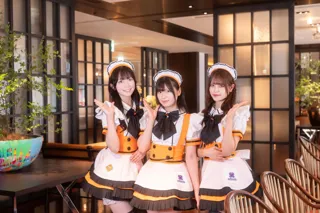 ハイアット セントリック 銀座 東京 日本のメイド文化を銀座で体験！メイドカフェ「めいどりーみん」とともにお届けするハロウィンナイトを開催
