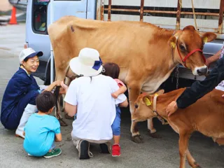 横須賀朝市に関口牧場の牛がやってくる！いちご よこすかポートマーケットで特別イベント開催（11月16日）