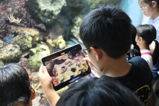 【アーツカウンシル東京】正解のない問いに挑む「創造力」を育む。アート制作と環境教育を融合した子供たちの作品展