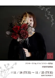 プリザーブド＆ドライフラワー専門店「cuccuma（クックマ）」のポップアップストアを渋谷モディにて開催！