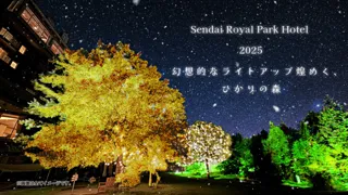 【仙台ロイヤルパークホテル】「幻想的なライトアップ煌めく、ひかりの森」／2025年11月1日(土)より開催